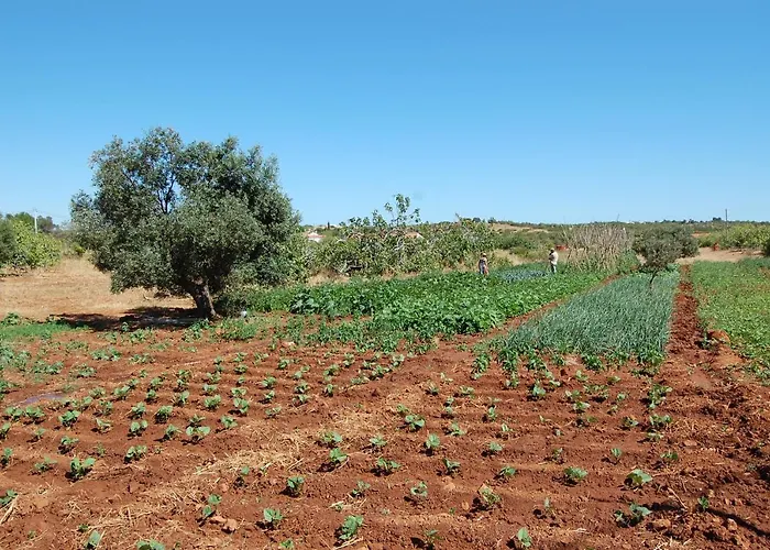 Quinta Do Maranhao *