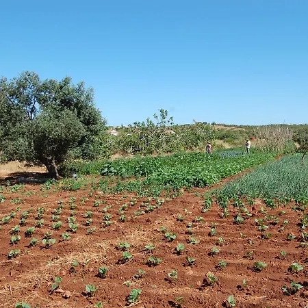 Quinta Do Maranhao *