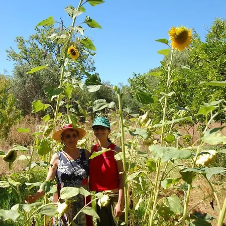 Quinta Do Maranhao * لاغوس